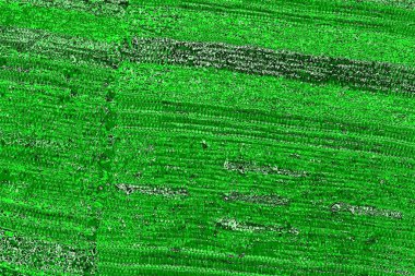 soyut yeşil doku, arkaplan, duvar kağıdını kopyala