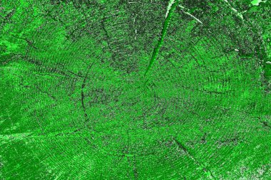 soyut yeşil doku, arkaplan, duvar kağıdını kopyala