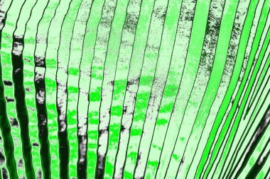 soyut yeşil doku, arkaplan, duvar kağıdını kopyala