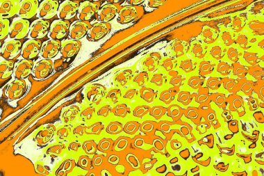 Renkli kirli duvar, desenli arkaplan