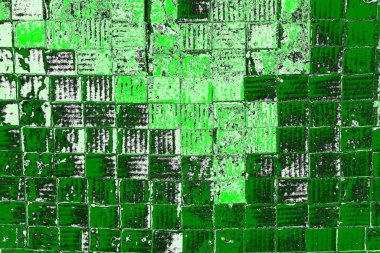 soyut yeşil doku, arkaplan, duvar kağıdını kopyala