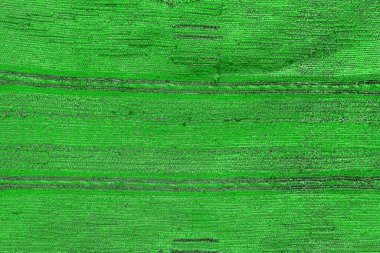 soyut yeşil doku, arkaplan, duvar kağıdını kopyala