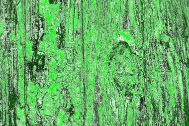 soyut yeşil doku, arkaplan, duvar kağıdını kopyala