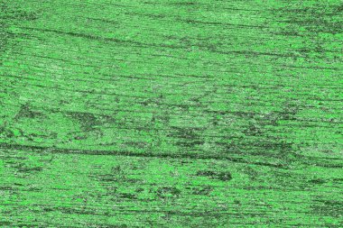 soyut yeşil doku, arkaplan, duvar kağıdını kopyala