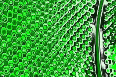 soyut yeşil doku, arkaplan, duvar kağıdını kopyala