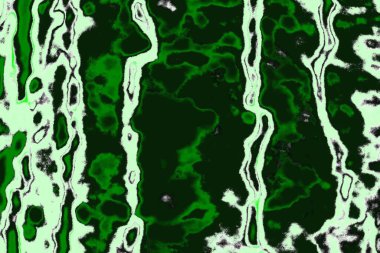 soyut yeşil doku, arkaplan, duvar kağıdını kopyala