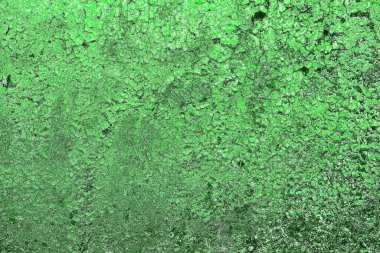 soyut yeşil doku, arkaplan, duvar kağıdını kopyala