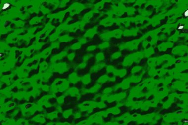 soyut yeşil doku, arkaplan, duvar kağıdını kopyala