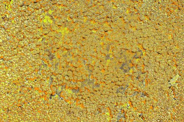 sarı renkli kirli duvar, desenli arka plan