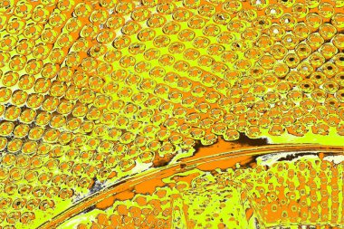 Renkli kirli duvar, desenli arkaplan