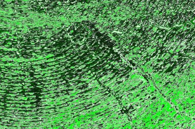 soyut yeşil doku, arkaplan, duvar kağıdını kopyala