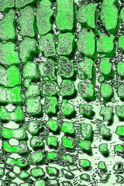 Renkli kirli duvar, desenli arkaplan