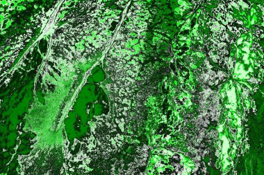 soyut yeşil doku, arkaplan, duvar kağıdını kopyala