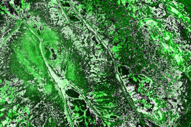 soyut yeşil doku, arkaplan, duvar kağıdını kopyala