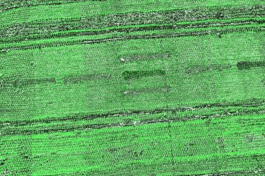 soyut yeşil doku, arkaplan, duvar kağıdını kopyala