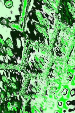 soyut yeşil doku, arkaplan, duvar kağıdını kopyala