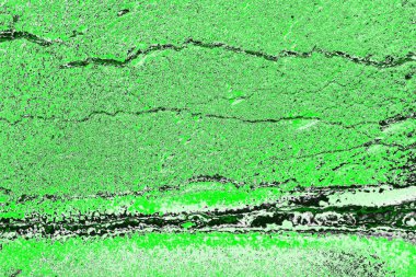 soyut yeşil doku, arkaplan, duvar kağıdını kopyala