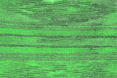 soyut yeşil doku, arkaplan, duvar kağıdını kopyala