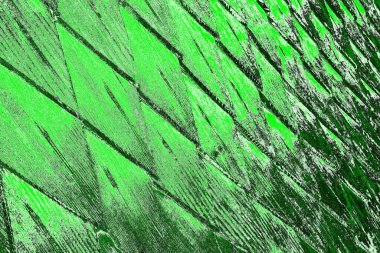 soyut yeşil doku, arkaplan, duvar kağıdını kopyala