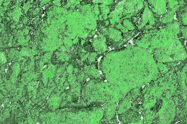 soyut yeşil doku, arkaplan, duvar kağıdını kopyala