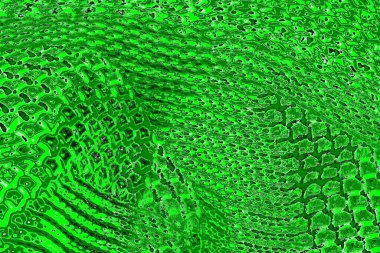 soyut yeşil doku, arkaplan, duvar kağıdını kopyala