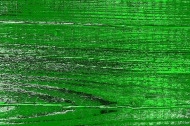 soyut yeşil doku, arkaplan, duvar kağıdını kopyala