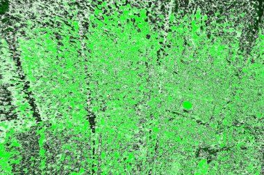 soyut yeşil doku, arkaplan, duvar kağıdını kopyala