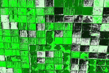 soyut yeşil doku, arkaplan, duvar kağıdını kopyala