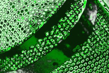 soyut yeşil doku, arkaplan, duvar kağıdını kopyala