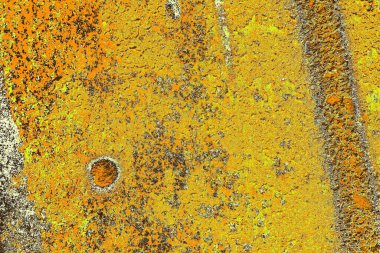 sarı renkli kirli duvar, desenli arka plan