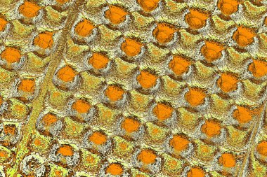 sarı renkli kirli duvar, desenli arka plan