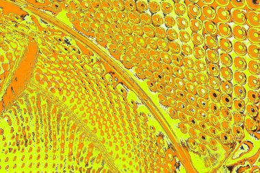 Renkli kirli duvar, desenli arkaplan