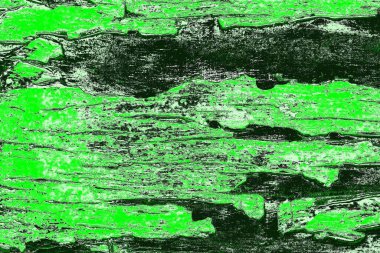 soyut yeşil doku, arkaplan, duvar kağıdını kopyala