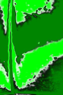 soyut yeşil doku, arkaplan, duvar kağıdını kopyala