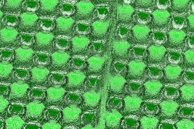 soyut yeşil doku, arkaplan, duvar kağıdını kopyala