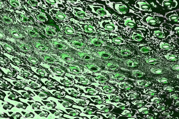 soyut yeşil doku, arkaplan, duvar kağıdını kopyala