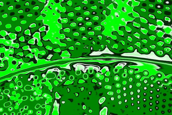 Abstrato Textura Verde Fundo Papel Parede Espaço Cópia — Fotografia de Stock