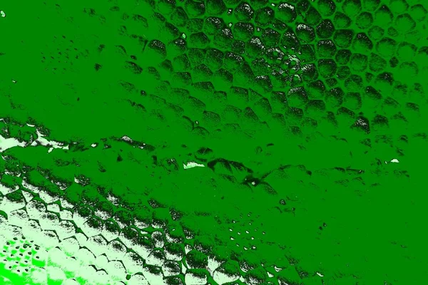 Abstrato Textura Verde Fundo Papel Parede Espaço Cópia — Fotografia de Stock