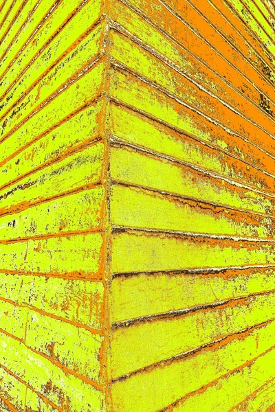 Sarı Renkli Kirli Duvar Desenli Arka Plan — Stok fotoğraf