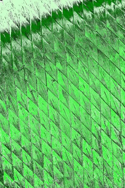 soyut yeşil doku, arkaplan, duvar kağıdını kopyala
