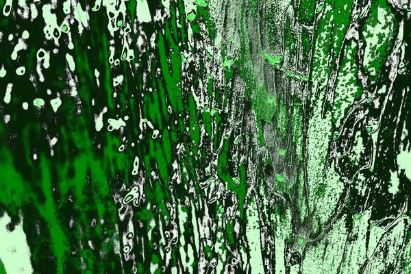 Abstrato Textura Verde Fundo Papel Parede Espaço Cópia — Fotografia de Stock