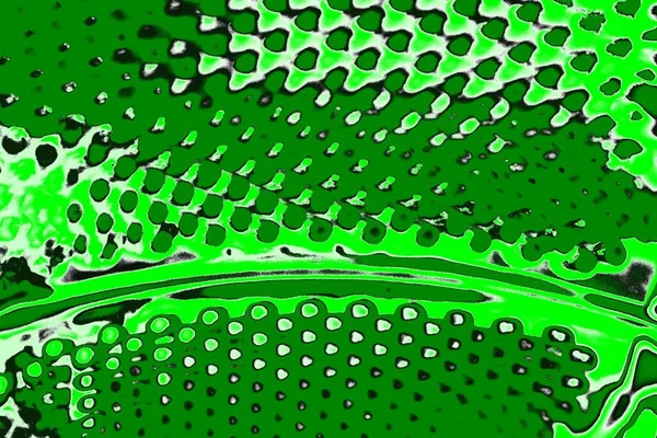 Elvont Zöld Textúra Háttér Másolás Tér Tapéta — Stock Fotó