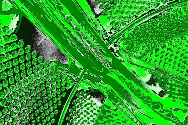 soyut yeşil doku, arkaplan, duvar kağıdını kopyala