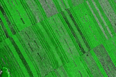 soyut yeşil doku, arkaplan, duvar kağıdını kopyala