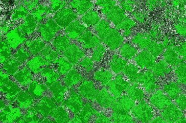 soyut yeşil doku, arkaplan, duvar kağıdını kopyala