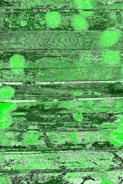 soyut yeşil doku, arkaplan, duvar kağıdını kopyala