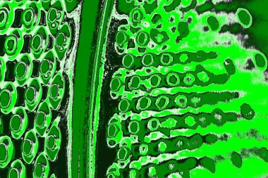 soyut yeşil doku, arkaplan, duvar kağıdını kopyala