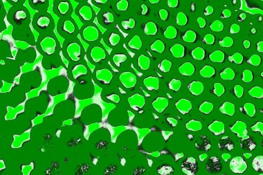 soyut yeşil doku, arkaplan, duvar kağıdını kopyala