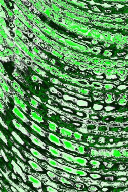 soyut yeşil doku, arkaplan, duvar kağıdını kopyala