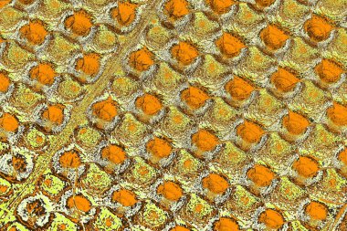 sarı renkli kirli duvar, desenli arka plan